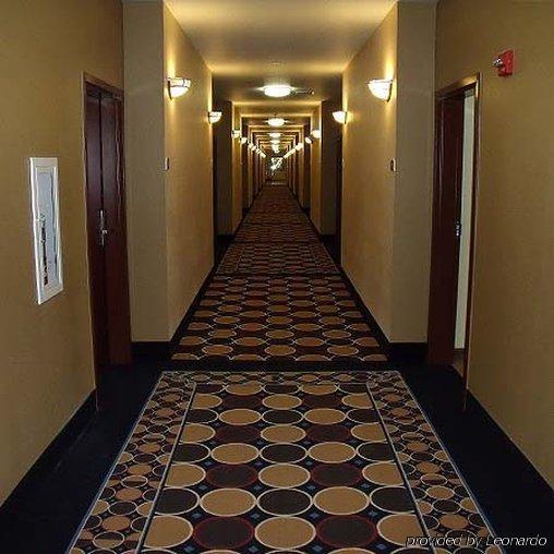 Irish Inn And Suites Muleshoe ภายนอก รูปภาพ